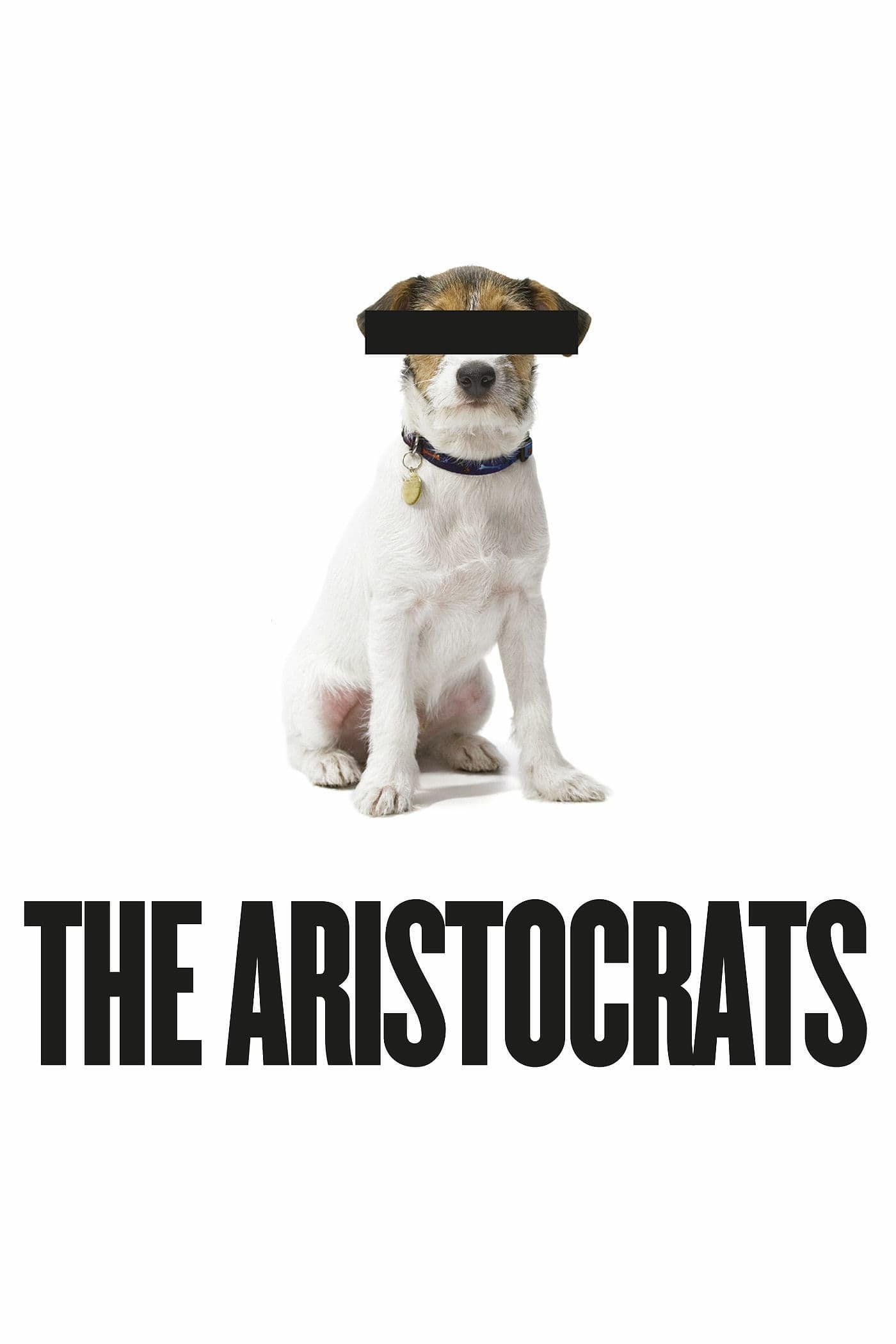 Постер The Aristocrats